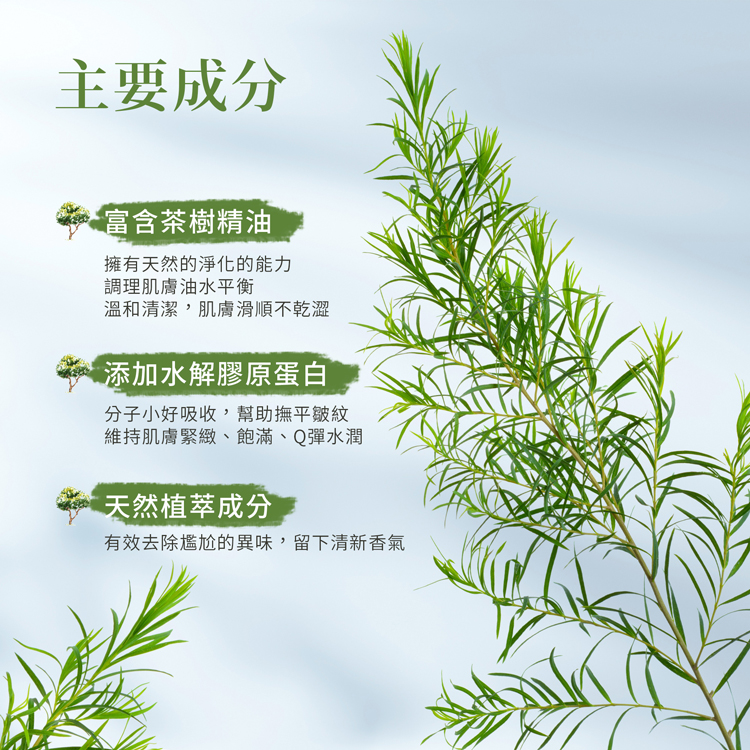 主要成分，富含茶樹精油，擁有天然的淨化的能力，調理肌膚油水平衡，溫和清潔,肌膚滑順不乾澀，添加水解膠原蛋白，分子小好吸收,幫助撫平皺紋，維持肌膚緊緻、飽滿、Q彈水潤，天然植萃成分，有效去除尷尬的異味,留下清新香氣。