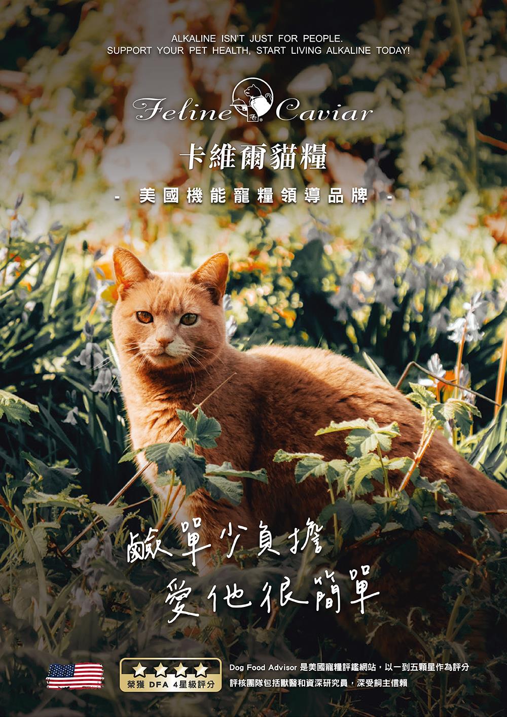 卡維爾 高機能無穀貓糧 鹿肉豌豆 2KG(貓飼料 貓糧 寵物