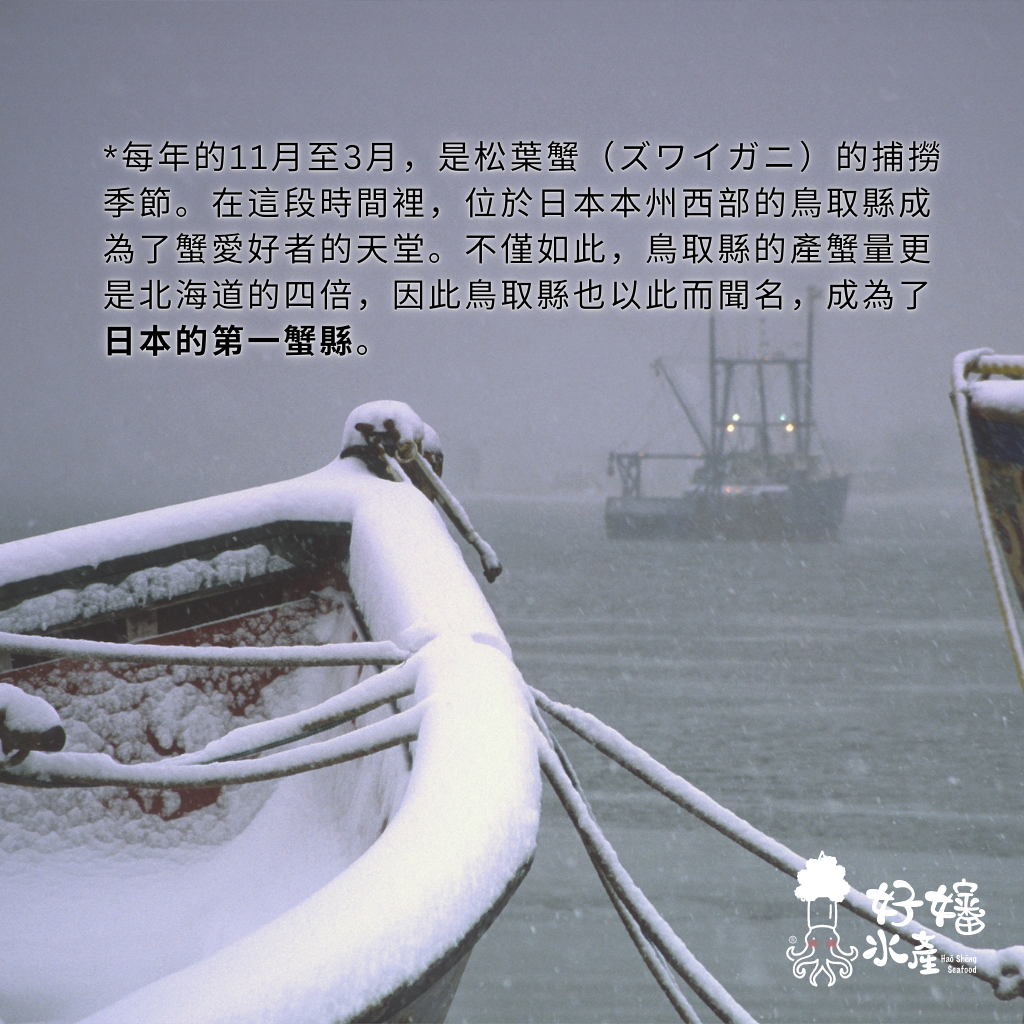 tw-11134208-7r98v-lldaafmj6d75be