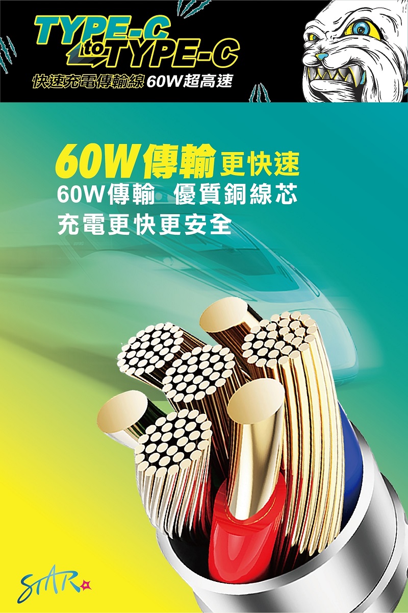 TYPE-C快速充電傳輸線 60W超高速60W傳輸更快速60W傳輸 優質銅線芯充電更快更安全