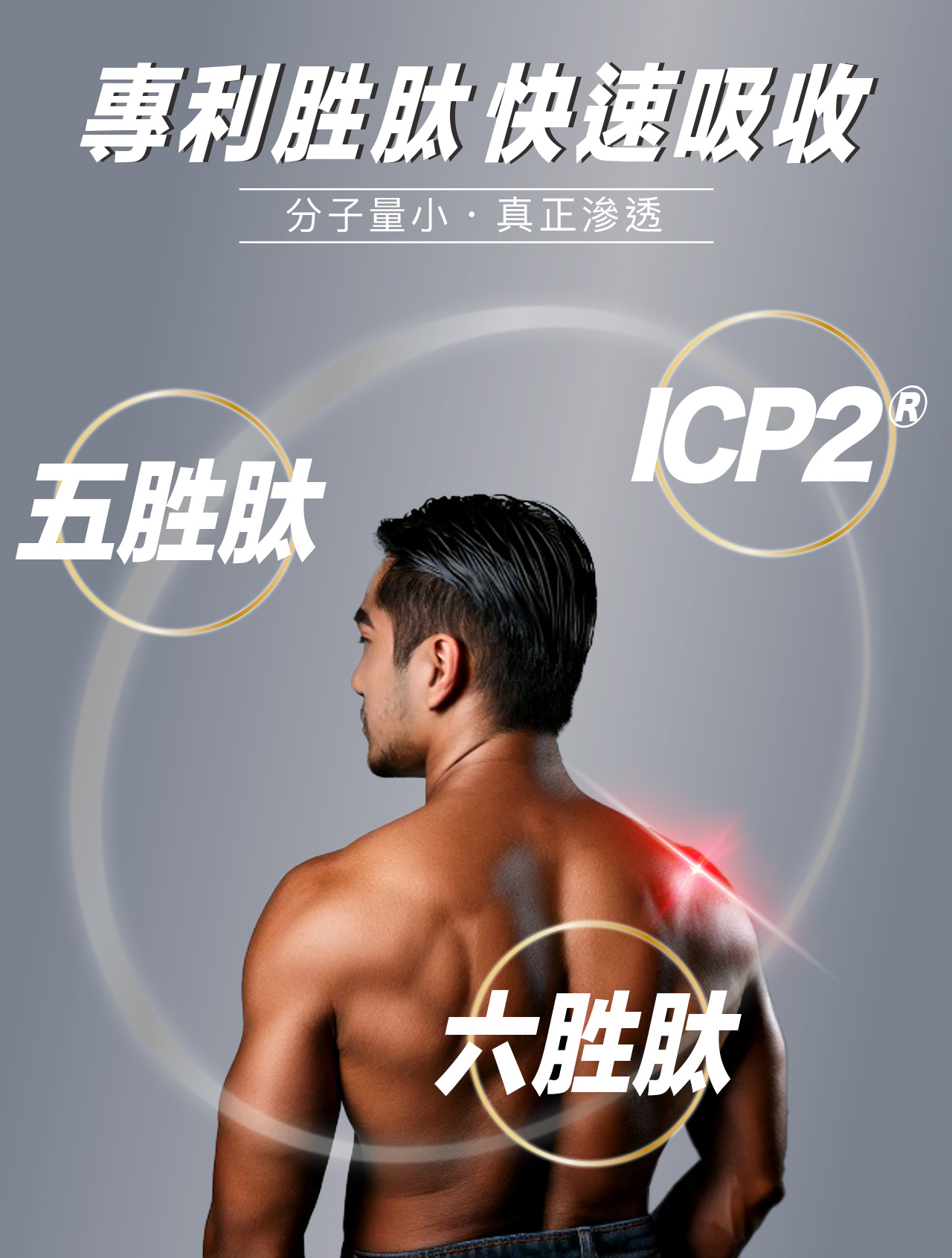 專利胜肽快速吸收分子量小真正滲透ICP2 五胜肽大胜肽