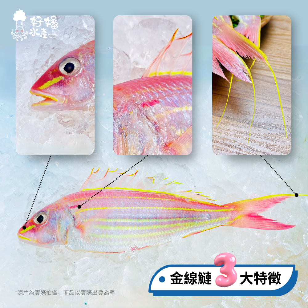 tw-11134208-7rbke-m7vumchhzepw81