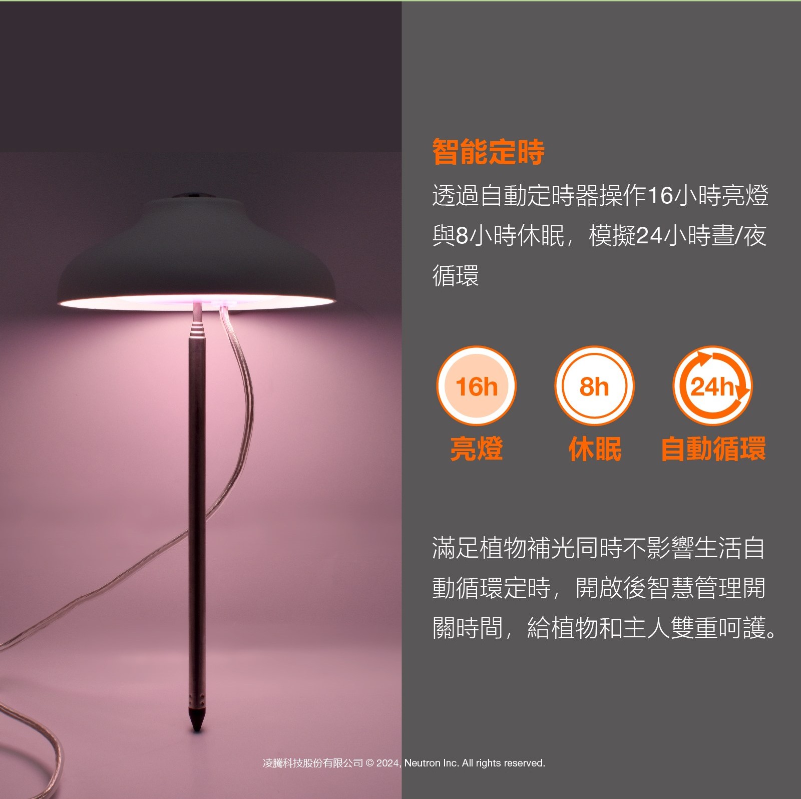 tw-11134208-81zto-mi9mfw2kk9af15