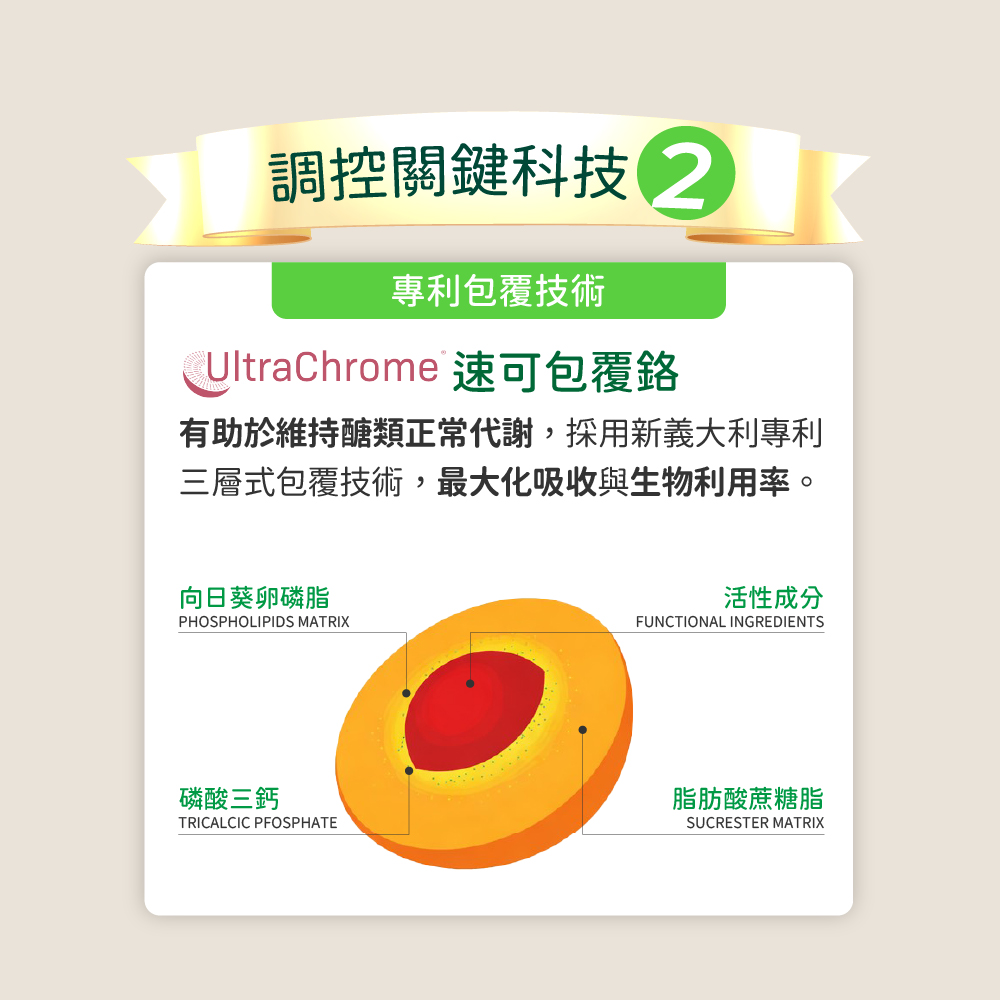 調控關鍵科技 專利包覆技術UltraChrome 速可包覆有助於維持醣類正常代謝,採用新義大利專利三層式包覆技術,最大化吸收與生物利用率。向日葵卵磷脂PHOSPHOLIPIDS MATRIX磷酸三鈣TRICALCIC PFOSPHATE活性成分FUNCTIONAL INGREDIENTS脂肪酸蔗糖脂SUCRESTER MATRIX