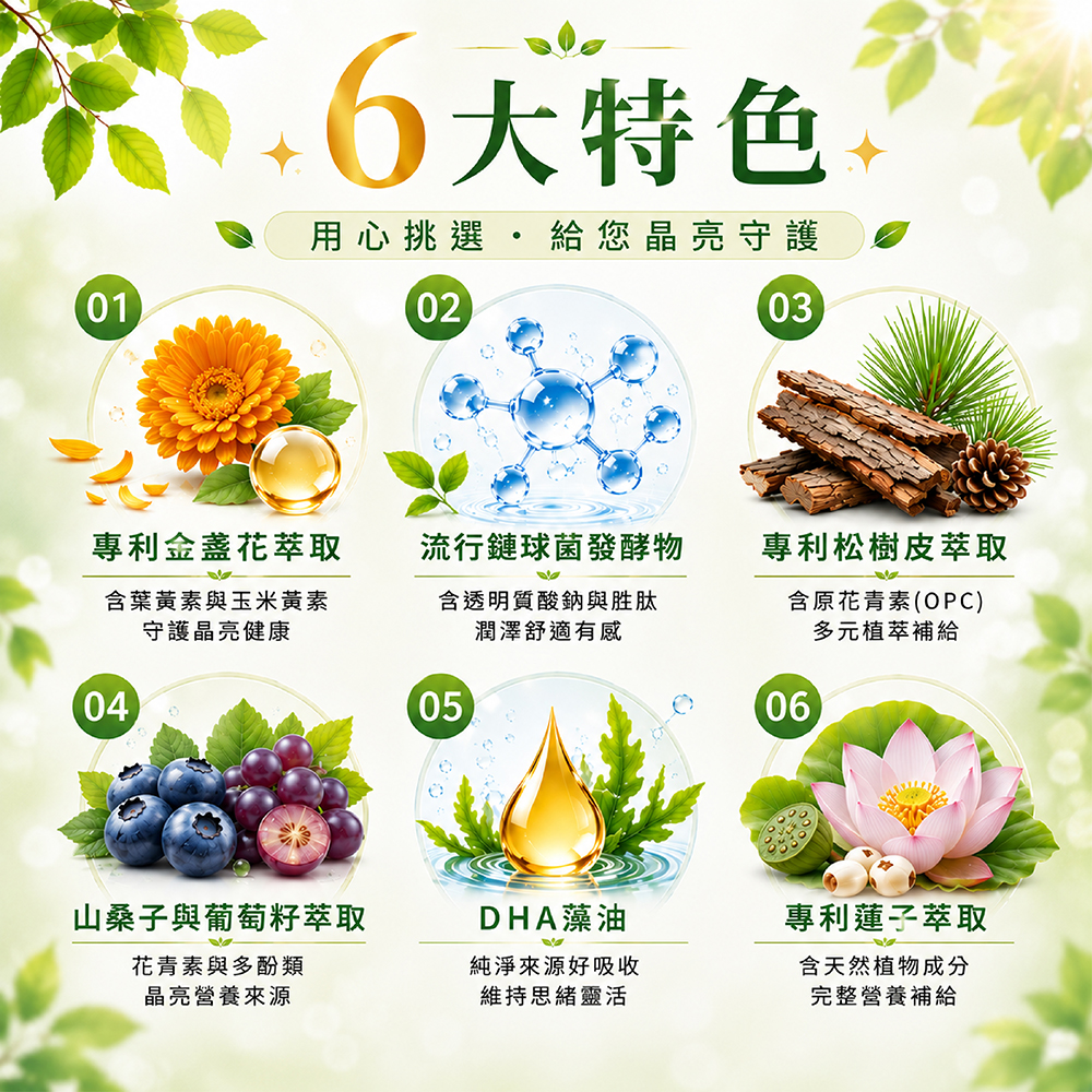 01特色用心挑選給您晶亮守護0203專利金盞花萃取含葉黃素與玉米黃素守護晶亮健康流行鏈球菌發酵物含透明質酸鈉與胜肽潤澤舒適有感專利松樹皮萃取含原花青素(OPC)多元植萃補給040506山桑子與葡萄籽萃取DHA藻油專利蓮子萃取花青素與多酚類晶亮營養來源純淨來源好吸收維持思緒靈活含天然植物成分完整營養補給