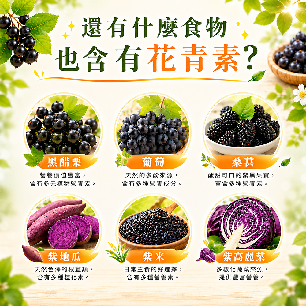 還有什麼食物也含有花青素?黑醋栗營養價值豐富,葡萄桑葚含有多元植物營養素。天然的多酚來源,含有多種營養成分。酸甜可口的紫黑果實,富含多種營養素。紫地瓜天然色澤的類,含有多種植化素。紫米日常主食的好選擇,含有多種營養素。紫高麗菜多樣化蔬菜來源,提供豐富營養。