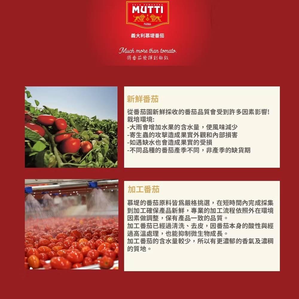 義大利慕提番茄