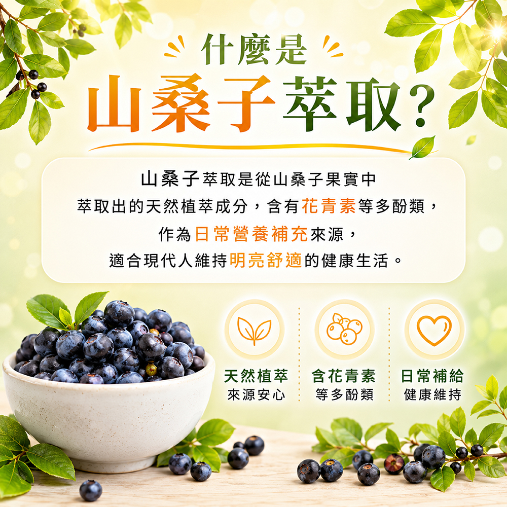 什麼 山桑子萃取?山桑子萃取是從山桑子果實中萃取出的天然植萃成分,含有花青素等多酚類,作為日常營養補充來源,適合現代人維持明亮舒適的健康生活。天然植萃含花青素日常補給來源安心等多酚類健康維持