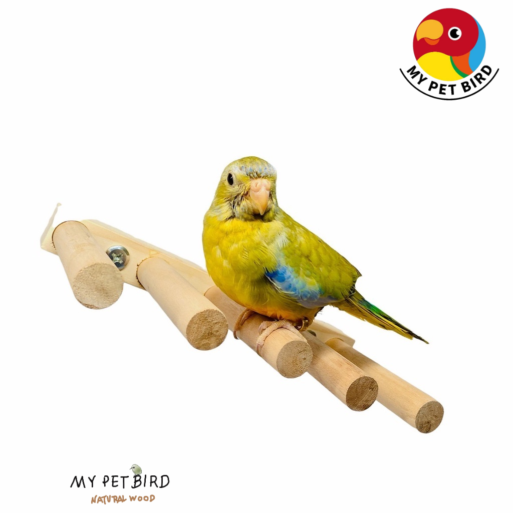 MY PET BIRD  組合式爬梯 W603A ｜ W603B