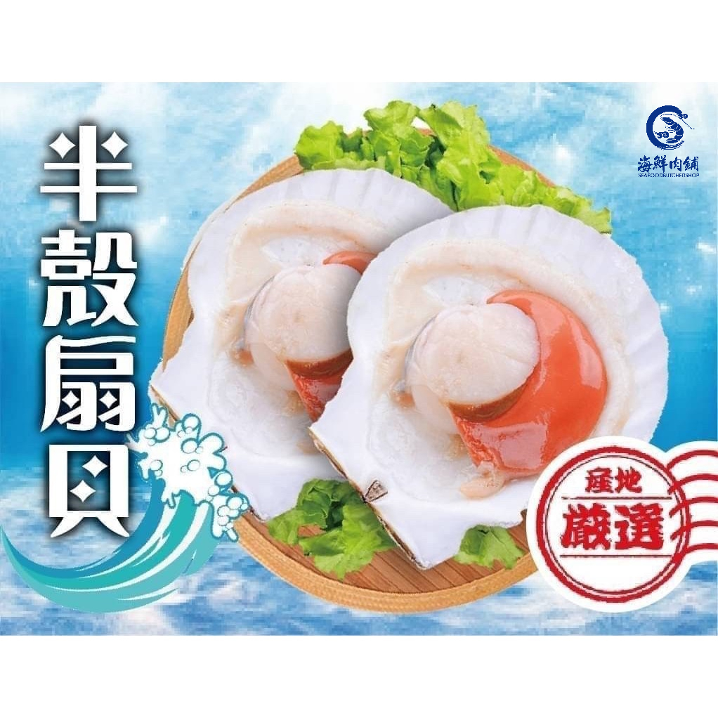 【海鮮肉舖】帶殼扇貝 (500g ±10%/盒)