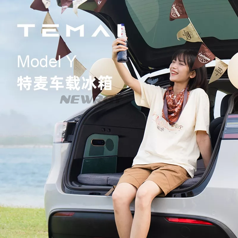 【台灣保固】台灣版 Model Y專用行李箱冰箱 後備箱冰箱 車宿 露營 收納 特斯拉 tesla
