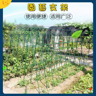 宅配免運😊黃瓜架 蔬菜園架 豆角絲瓜架 葡萄爬藤架 花架戶外庭院陽臺網紅園藝架【搭配好的爬藤架】