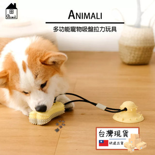 【妝點家】現貨Animali｜多功能寵物吸盤拉力玩具漏食 訓練 玩具 多功能 吸盤 啃咬 磨牙骨頭