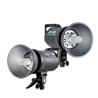 Godox 神牛 DS300II 雙燈套組 玩家棚燈二代 300W棚燈 影樓閃光燈 X1 [相機專家] [開年公司貨]