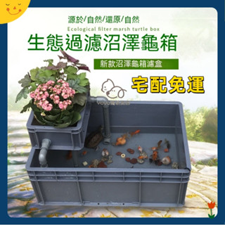 宅配免運😊龜箱 烏龜 金魚沼澤過濾箱盒 diy自製周轉箱 沼澤寵物養殖一體過濾箱 烏龜缸 魚缸