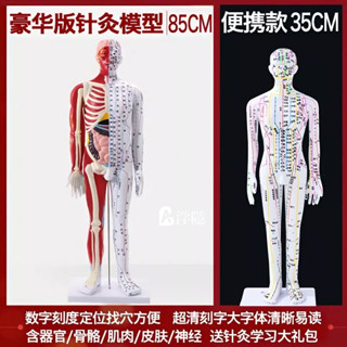 熱賣 政河便攜款針灸穴位人體模型人十二經絡圖小皮人可扎針85cm銅人 人體模型 器官模型 詳細 標註 教學模具