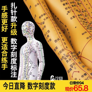 熱賣 政河人體經絡穴位模型人針灸十二經絡圖小皮人可扎針數字刻度定位 人體模型 器官模型 詳細 標註 教學模具