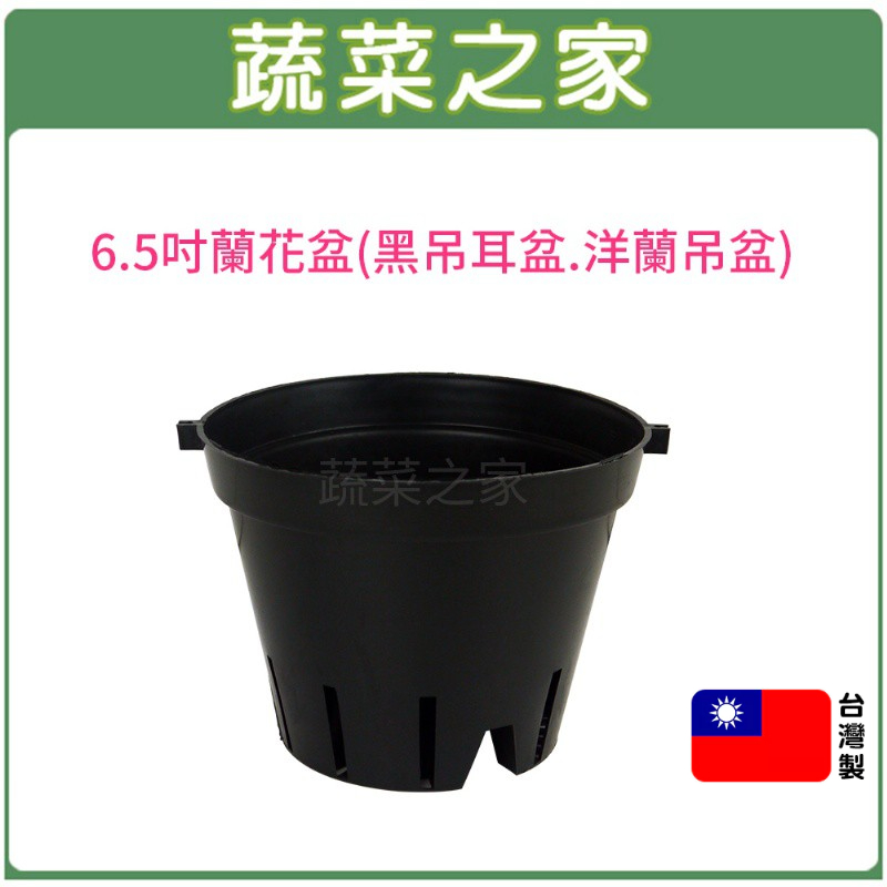 【蔬菜之家滿額免運】6.5吋蘭花盆(黑吊耳盆.洋蘭吊盆) 花盆 塑膠花盆 蘭花種植 洋蘭盆 國蘭盆 黑色