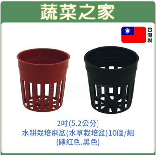 【蔬菜之家滿額免運】2吋(5.2公分)水耕栽培網盆10個/組(水草栽培盆.定植籃.水草盆.水耕盆.水耕