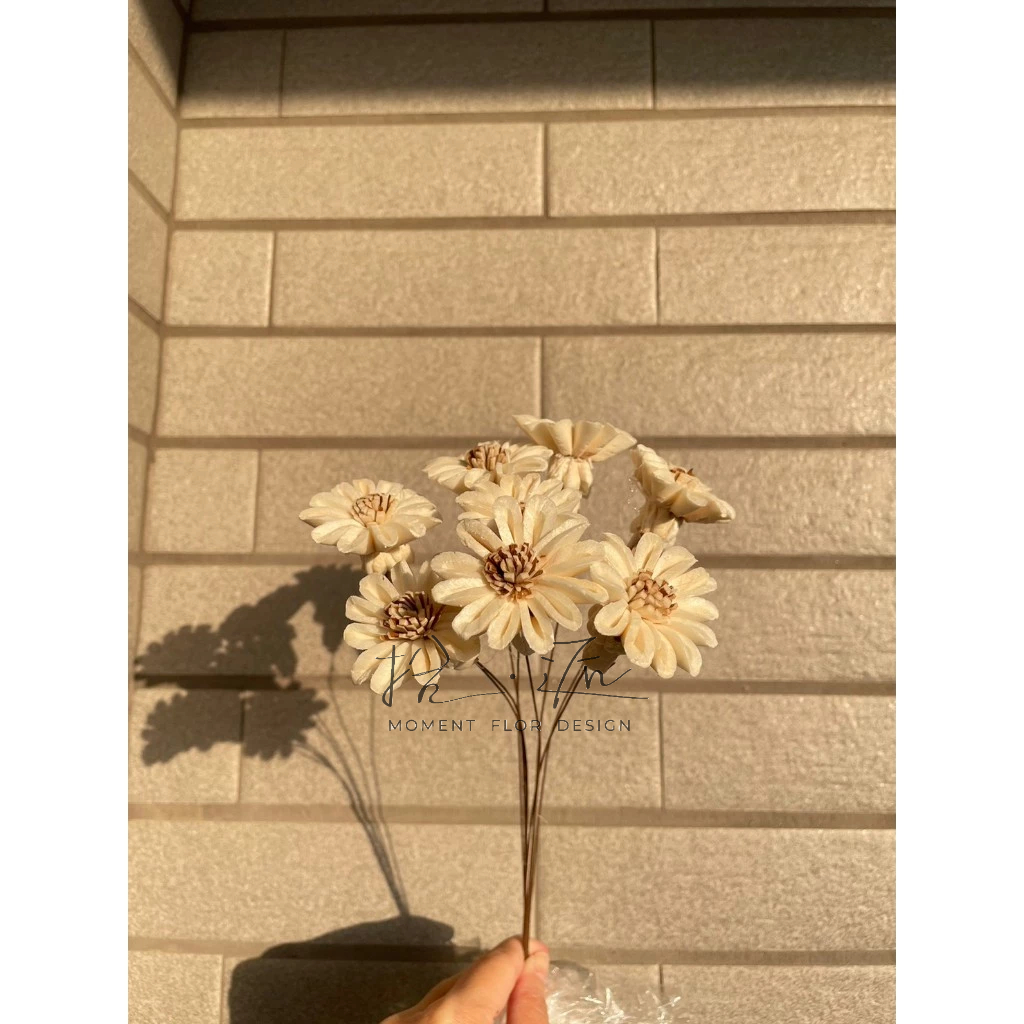 💐拾逅花藝💐索拉瑪格麗特(小) 白色 乾燥花 永生花 花材販售