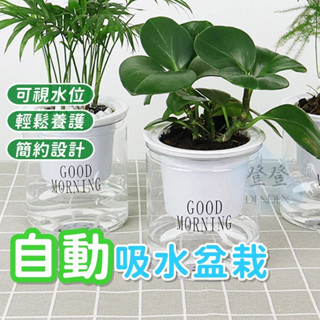 【登登】臺灣出貨🔥自動吸水花盆 盆栽 花盆 塑膠花盆 盆栽容器 園藝花盆 戶外花盆 控根盆 透氣花盆