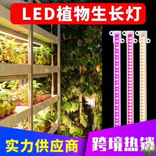 【叄曦燈飾】免運 全光譜LED植物生長燈 管USB可調光定時5V室內家用水培植物燈 條園藝花卉幼苗植物種植櫥櫃架專用補光