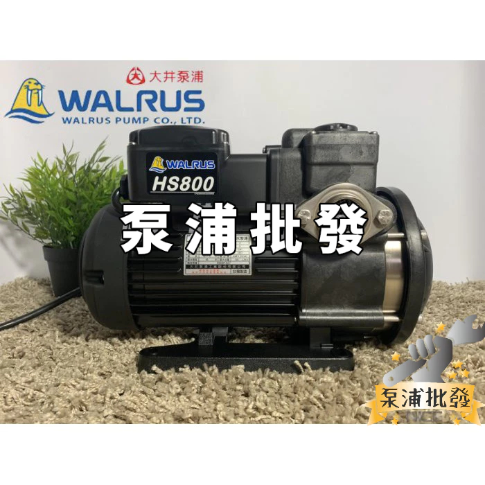 【泵浦批發】♨活動優惠♨ HS800 1HP 大井WALRUS 電子靜音型抽水機 不生鏽 ｢白鐵葉輪 保固兩年｣