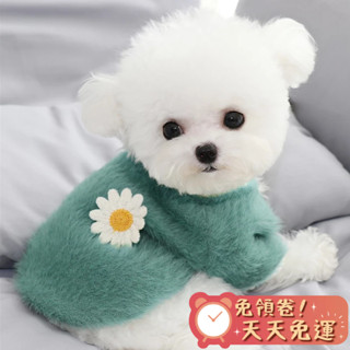【汪喵森活-現貨出清💲】 雛菊 一朵花 寵物冬季衣服 秋冬服飾 狗衣服 比熊 博美 貴賓 貓咪 小型犬 雪納瑞 西施