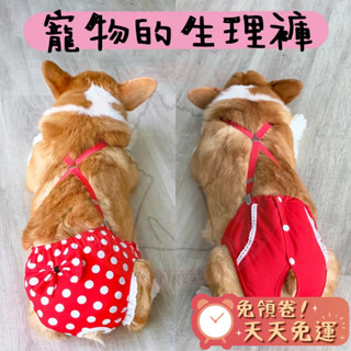 【汪喵森活】 寵物生理褲 月經褲 狗月經褲 狗生理褲 狗內褲 寵物內褲 生理褲 柯基 法鬥 米克斯 雪納瑞 貴賓 禮貌褲