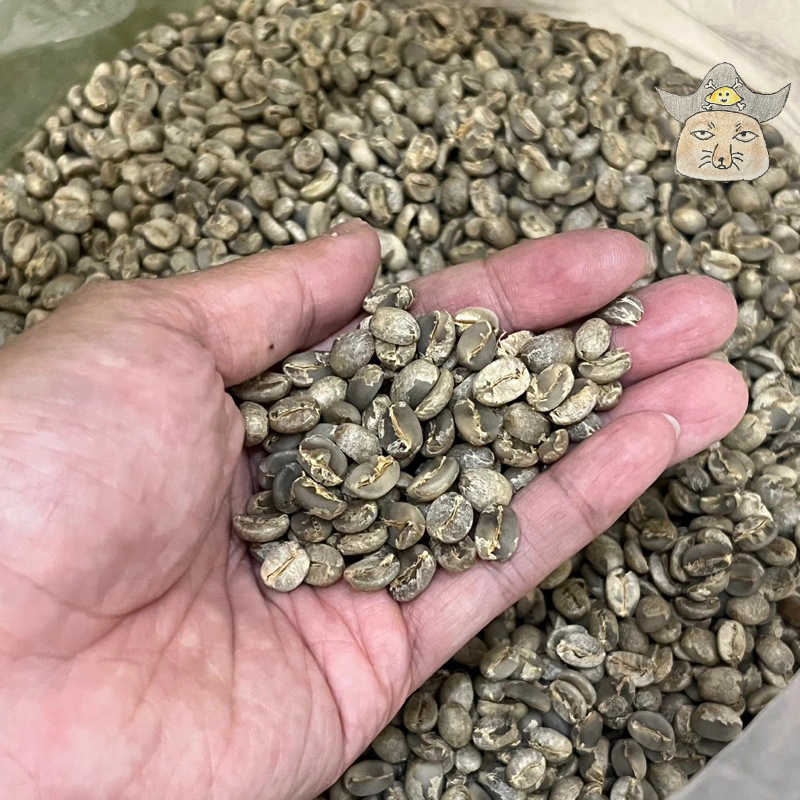 屏東德文 咖啡豆 生豆500g 阿拉比卡豆 台灣豆子［南島部落］