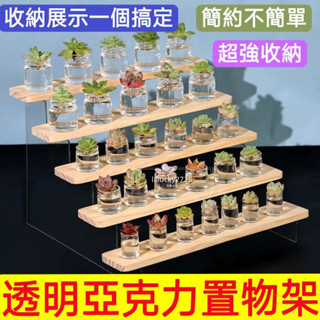 💯臺灣出貨【多肉 盆栽展示架】多肉植物架 手辦盆栽收納 植物收納架 多層收納架 亞克力透明置物架 園藝花架花器 限時低價
