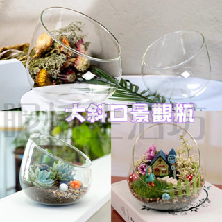 【現貨】微景玻璃球/斜口/多肉植物玻璃花盆/生態瓶/微景觀/創意DIY花器裝飾/斜口玻璃球/大斜口/旁口球/水培花瓶