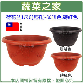 【蔬菜之家滿額免運】荷花盆1尺6(無孔)-咖啡色.磚紅色 花盆 塑膠花盆 蓮花盆 種植盆 水耕盆 魚菜共