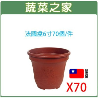 【蔬菜之家滿額免運】法國盆6寸70個/件 歐洲盆 花盆 花槽 栽培盆 種植盆 花盆 塑膠花盆 蔬菜盆
