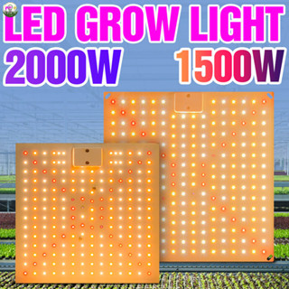 【叄曦燈飾】免運 110V量子板2000w全光譜led植物生長燈 燈 水培照明室內花卉種子