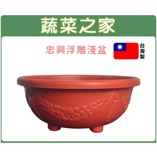【蔬菜之家滿額免運】忠興2尺浮雕淺盆(無洞) 磚紅色 臺灣製 PP耐衝擊塑膠 水耕植物 蓮花盆 荷花盆 魚菜共生 盆器