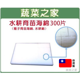 【蔬菜之家滿額免運】水耕育苗海綿.泡綿(1片內切96塊)300片 水耕蔬菜海綿 育苗泡棉