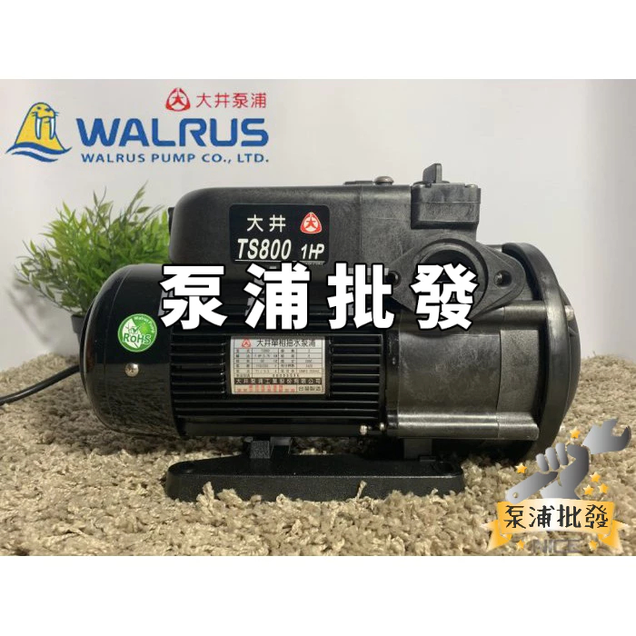 【泵浦批發】🌟原廠公司貨🌟 TS800 1HP 大井WALRUS 電子靜音型抽水機 不生鏽水機 TS800B 抽水泵浦