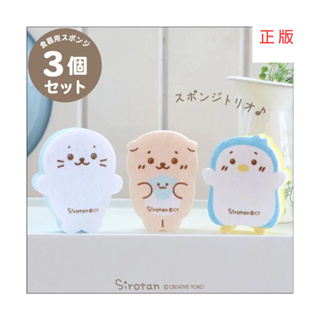 日本Sirotan-海豹小白 洗碗用海綿 好朋友們3入組 卡通海綿 菜瓜布 洗碗 流理臺 浴室 清潔用品 廚房用品