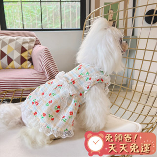 【汪喵森活】 超美❤ 珍珠鍊 蝴蝶結 仙女洋裝 寵物洋裝 婚禮 寵物禮服 蕾絲 拍照 西施 比熊 博美 貴賓 貓咪 結婚