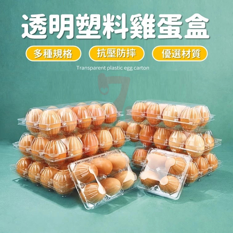 【台灣出貨】透明塑膠雞蛋盒｜雞蛋收納盒｜透明蛋盒｜塑膠蛋盒｜雞蛋托｜透明包裝盒