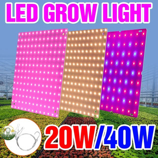 【叄曦燈飾】免運 室內植物燈 20W40WLED植物燈 LED生長帳篷全光譜水培植物種子花卉燈 泡歐盟美國英國插頭