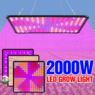 【叄曦燈飾】免運 2000W全光譜LED植物燈 園藝110V植物補光燈 多肉1000W量子板生長燈 2000W溫室室內蔬