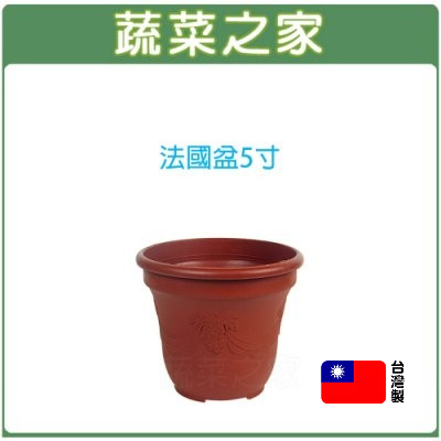 【蔬菜之家滿額免運】法國盆5寸 歐洲盆 花盆 花槽 栽培盆 種植盆 塑膠花盆 蓮花盆 荷花盆