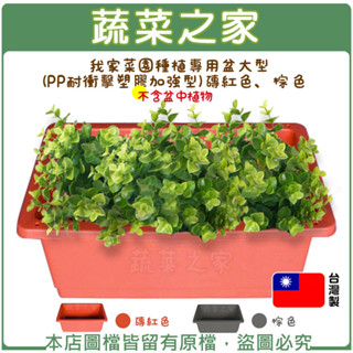 【蔬菜之家滿額免運】我家菜園 大型種植盆(長69x寬43cm)(磚紅色.棕色) 蔬菜槽 花槽 菜盆 菜圃 青菜 耕種