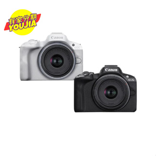 Canon EOS R50+RF-S18-45mm f/4.5-6.3 IS STM 公司貨 無卡分期 私訊聊