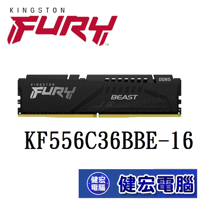 金士頓 Kingston FURY Beast 獸獵者 DDR5 5600 16GB 32GB 桌上型超頻記憶體