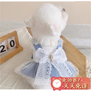 【汪喵森活】 藍白蕾絲紗裙 蝴蝶結 可牽引 珍珠 狗衣服 比熊 博美 貴賓 貓咪 小型犬 吉娃娃 秋冬服飾 結婚 婚紗