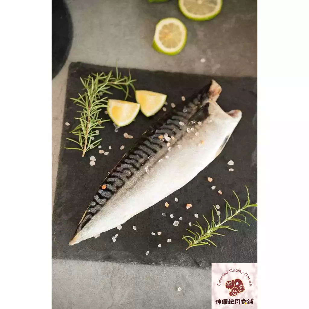 【侏儸紀肉食鋪】挪威鹽漬 鯖魚(大) 200g
