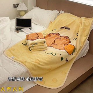 卡皮巴拉毛毯 水豚君午睡毯 懶人毯 絨毛毯 小毛毯 小毯子 午休毯 冷氣毯 毯子 雙人毛毯 單人毛毯 空調毯 蓋毯 毛毯